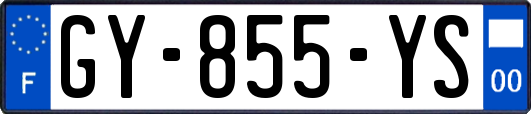 GY-855-YS