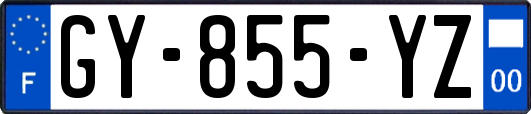 GY-855-YZ