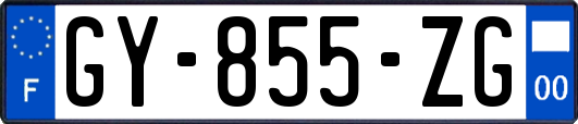 GY-855-ZG