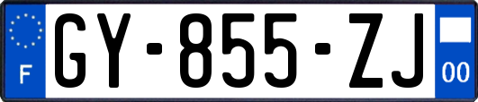 GY-855-ZJ