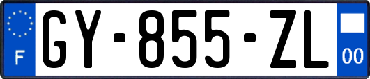 GY-855-ZL