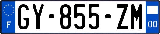 GY-855-ZM
