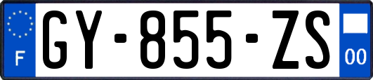 GY-855-ZS