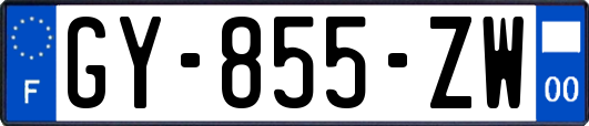 GY-855-ZW