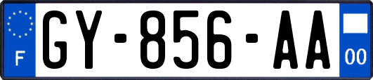 GY-856-AA