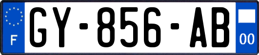 GY-856-AB
