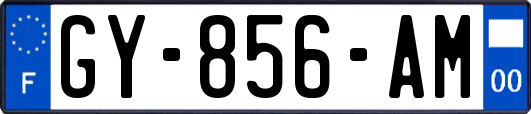 GY-856-AM