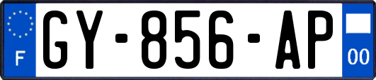 GY-856-AP