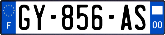 GY-856-AS
