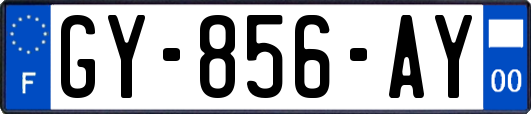 GY-856-AY