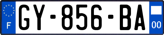 GY-856-BA