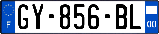 GY-856-BL