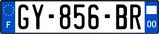 GY-856-BR