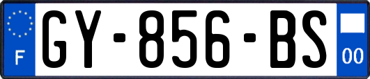 GY-856-BS