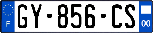 GY-856-CS