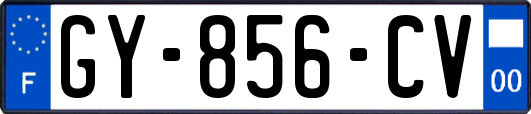 GY-856-CV