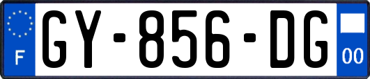 GY-856-DG