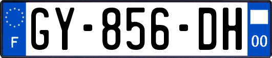 GY-856-DH