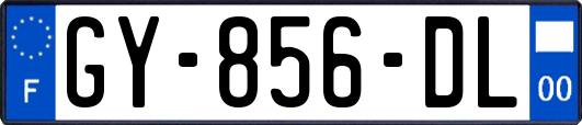 GY-856-DL