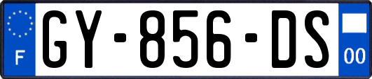 GY-856-DS
