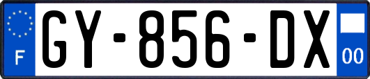 GY-856-DX