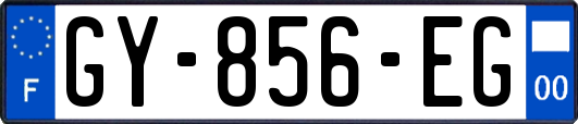 GY-856-EG