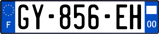 GY-856-EH