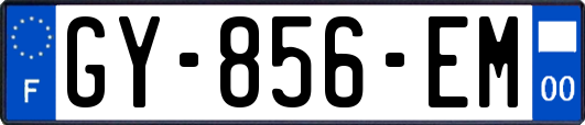 GY-856-EM