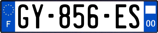 GY-856-ES