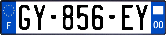GY-856-EY