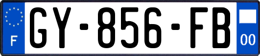 GY-856-FB