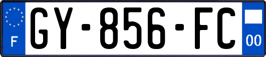GY-856-FC