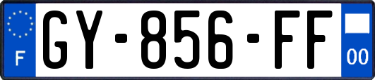 GY-856-FF
