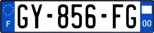 GY-856-FG