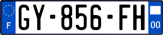 GY-856-FH