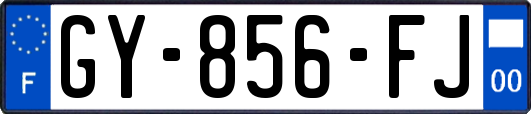 GY-856-FJ