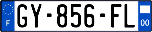 GY-856-FL