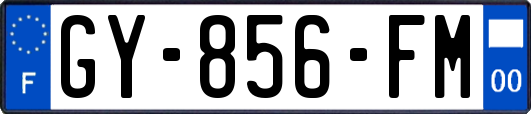 GY-856-FM