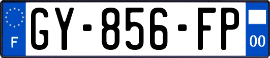 GY-856-FP