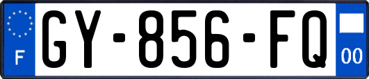 GY-856-FQ