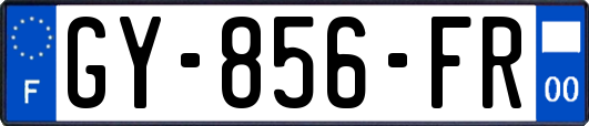 GY-856-FR