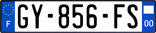 GY-856-FS