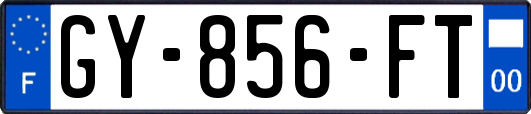 GY-856-FT