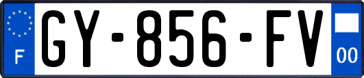 GY-856-FV