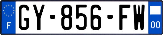 GY-856-FW