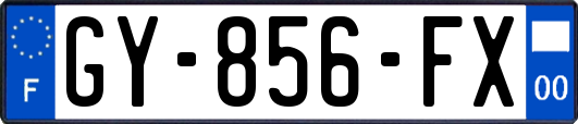 GY-856-FX