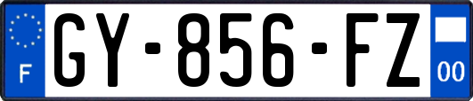 GY-856-FZ
