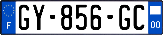 GY-856-GC