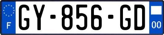 GY-856-GD
