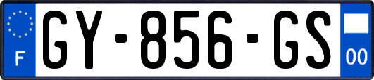 GY-856-GS